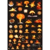 Patlamalar Sticker Set-2 20 Parça Telefon, Tablet, Defter, Laptop Sticker