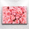 Pembe Çiçekler Kanvas