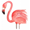 Pembe Flamingo