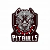 Pitbull Sticker 10x10 cmRenkli Sticker