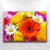 Renkli Çiçekler Kanvas