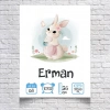 Sevimli Tavşan Temalı Yaş Panosu