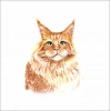 Sevimli Kedi Sticker 1