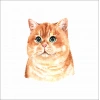 Sevimli Kedi Sticker 3