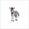 Sevimli Zebra Sticker