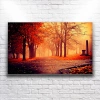 Sonbahar Ve Ağaçlar Kanvas