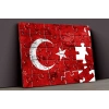 Türk Bayrağı Kanvas