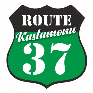37 Kastamonu Sticker 10x10 cmRenkli Sticker