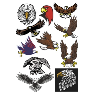 Kartal Sticker Set-1 11 Parça Telefon, Tablet, Defter, Laptop Sticker