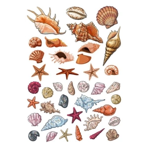 Deniz canlıları Sticker Set-1 18 Parça Telefon, Tablet, Defter, Laptop Sticker