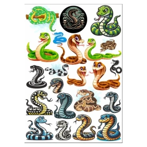 Yılan Snicker Set 2