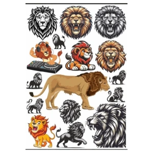 Kızgın Aslan Sticker Set 3
