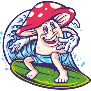 sörf yapan mantar sticker 10x10 cmRenkli Sticker