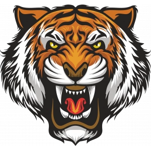 Kaplan Sticker 5 10x10 cmRenkli Sticker