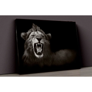 Aslan Kanvas