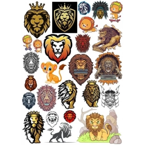 Aslan Sticker Set 12 20 Parça Telefon, Tablet, Defter, Laptop Sticker