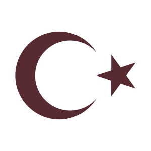 Ay Yıldız Sticker 17x17 Cm Kahverengi