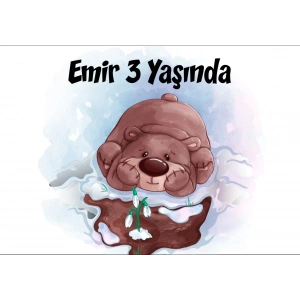 Ayıcık Temalı Doğum Günü Afişi 35X50 cm