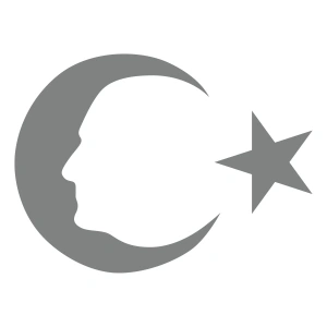 Ayyıldız ve Atatürk Silüeti Sticker17x17 Cm Gri