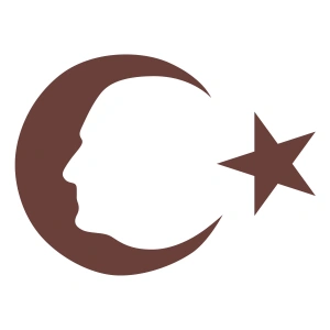 Ayyıldız ve Atatürk Silüeti Sticker17x17 Cm Kahverengi