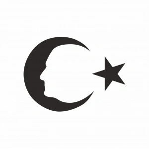 Ayyıldız ve Atatürk Silüeti Sticker17x17 Cm Siyah