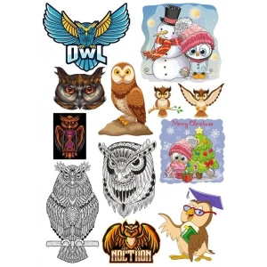 Baykuş Owl Sticker Set 11 Parça Telefon, Tablet, Defter, Laptop Sticker