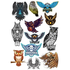 Baykuş Owl Sticker Set-2 13 Parça Telefon, Tablet, Defter, Laptop Sticker