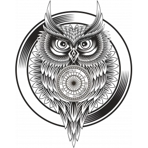 Baykuş Sticker 10x10 cmRenkli Sticker