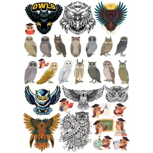 Baykuş Sticker Set 20 Parça Telefon, Tablet, Defter, Laptop Sticker