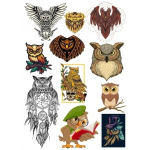 Baykuş Sticker Set-3 11 Parça Telefon, Tablet, Defter, Laptop Sticker