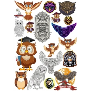 Baykuş Sticker Set 6 16 Parça Telefon, Tablet, Defter, Laptop Sticker