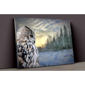 Baykuş Ve Kış Kanvas
