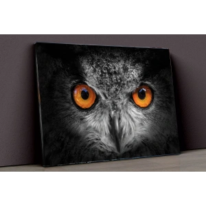 Baykuş Ve Kış Kanvas