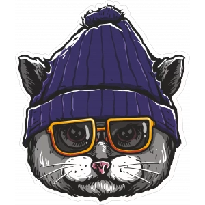 Bereli Kedi Sticker 10x10 cmRenkli Sticker