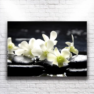 Beyaz Çiçekler Kanvas