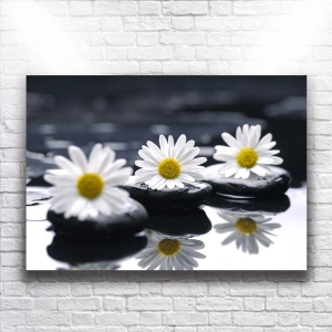 Beyaz Çiçekler Kanvas