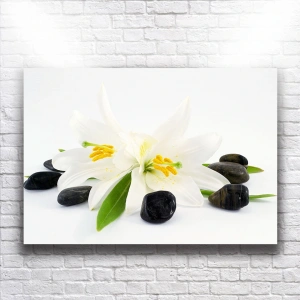Beyaz Orkideler Kanvas