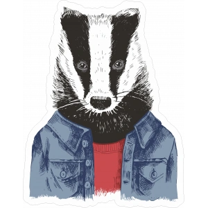 Rakun Sticker 10x10 cmRenkli Sticker