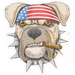 Bulldog 2 Sticker 10x10 cmRenkli Sticker