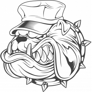 Bulldog Sticker 10x10 cmRenkli Sticker