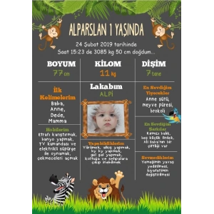 Safari Hayvanları Temalı Yaş Panosu