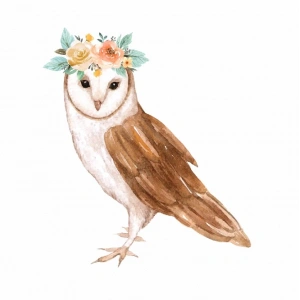 Çiçek Taçlı Baykuş Duvar Stickerı