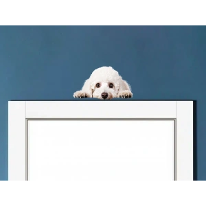 Corgi Yavrusu Duvar Stickerı