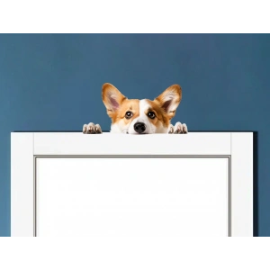 Corgi Yavrusu Duvar Stickerı