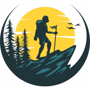 Daağcı 10x10 cm Renkli Sticker