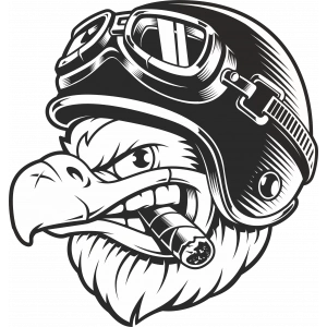 Kartal Sticker 10x10 cmRenkli Sticker