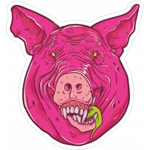 Domuz Sticker 10x10 cmRenkli Sticker