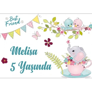 Fil ve Kedi Temalı Doğum Günü Afişi 70X100 cm