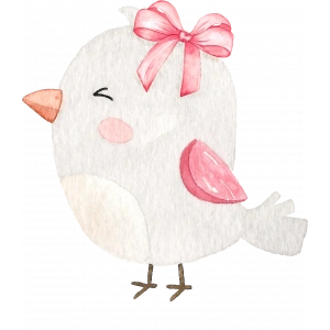 Fiyonklu Kuş Duvar Stickerı