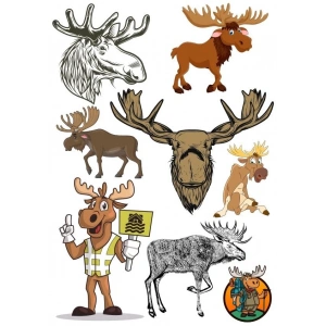 Geyik Sticker Set-1 8 Parça Telefon, Tablet, Defter, Laptop Sticker